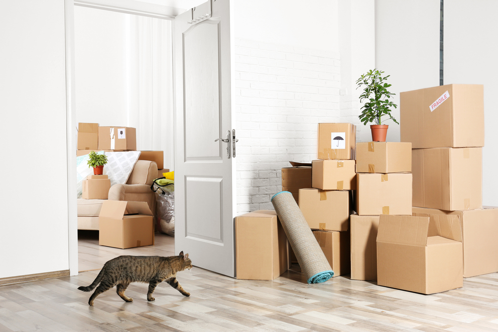 A house with moving boxes packed before a move.