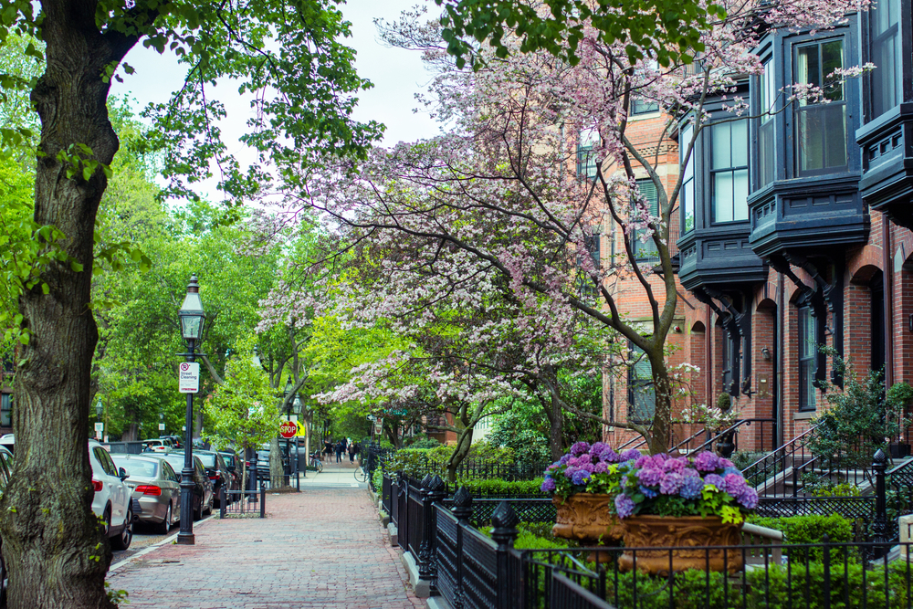 An empty sidewalk lined with brownstone buildings in a residential street in Boston.