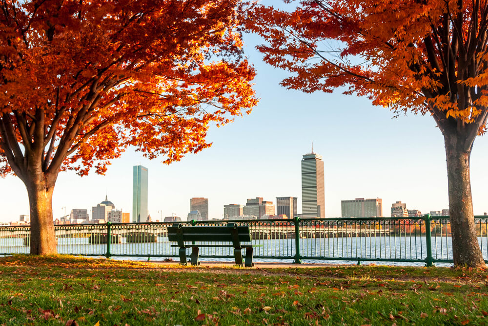 A view of a park in Boston during fall